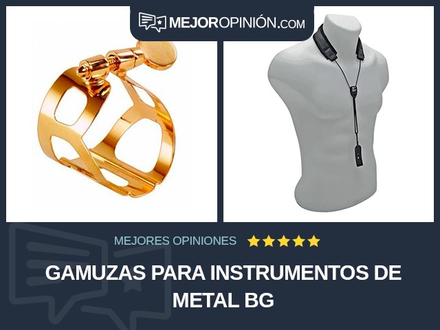 Gamuzas para instrumentos de metal BG