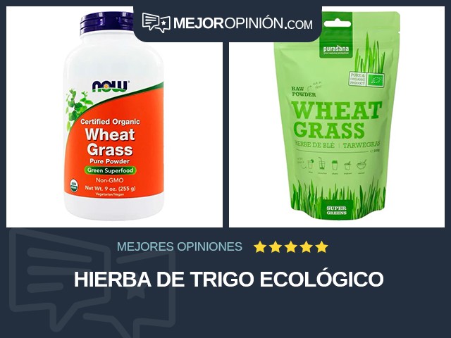 Hierba de trigo Ecológico