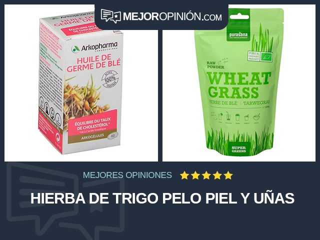 Hierba de trigo Pelo piel y uñas