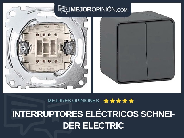 Interruptores eléctricos Schneider Electric