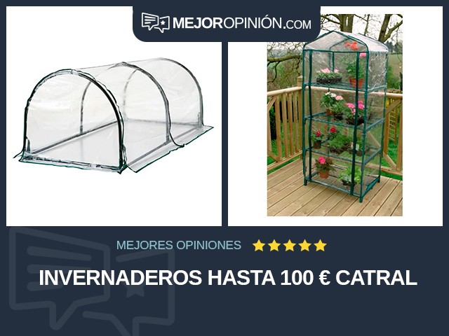 Invernaderos Hasta 100 € Catral