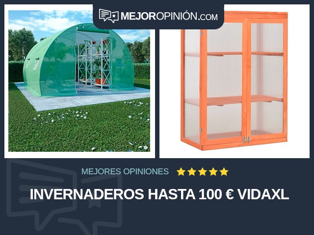 Invernaderos Hasta 100 € vidaXL