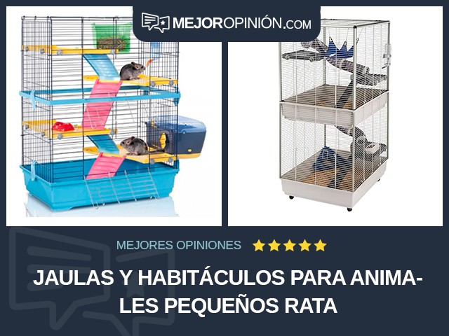 Jaulas y habitáculos para animales pequeños Rata