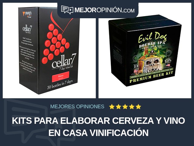 Kits para elaborar cerveza y vino en casa Vinificación