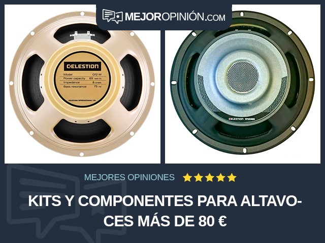 Kits y componentes para altavoces Más de 80 €