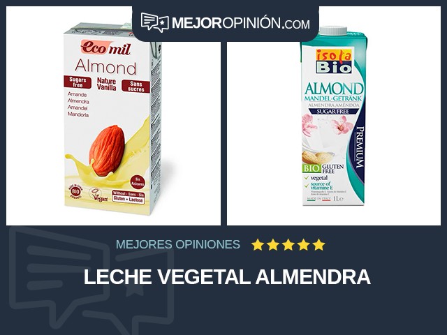 Leche vegetal Almendra