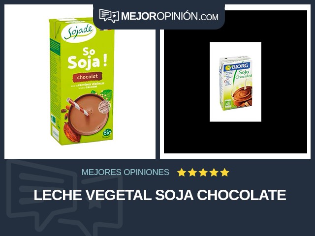 Leche vegetal Soja Chocolate