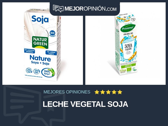 Leche vegetal Soja