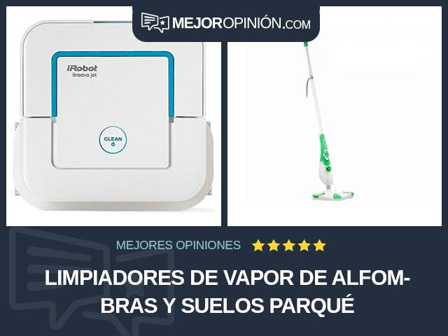 Limpiadores de vapor de alfombras y suelos Parqué