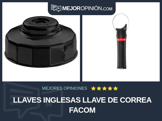 Llaves inglesas Llave de correa Facom