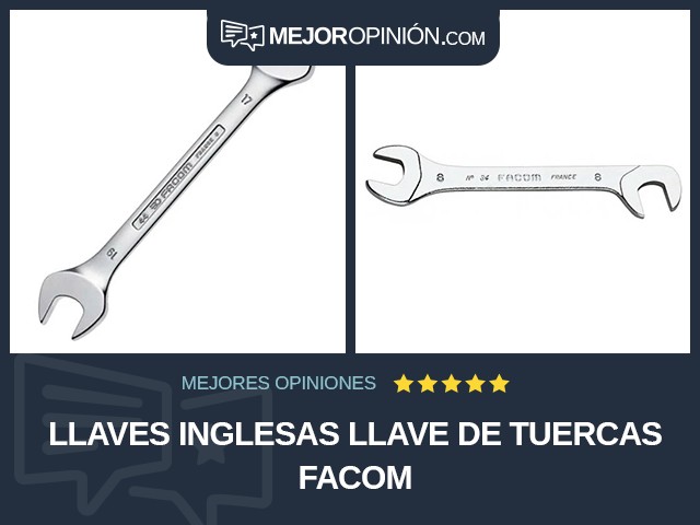 Llaves inglesas Llave de tuercas Facom