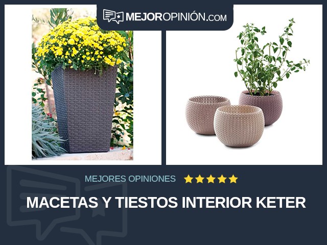 Macetas y tiestos Interior Keter