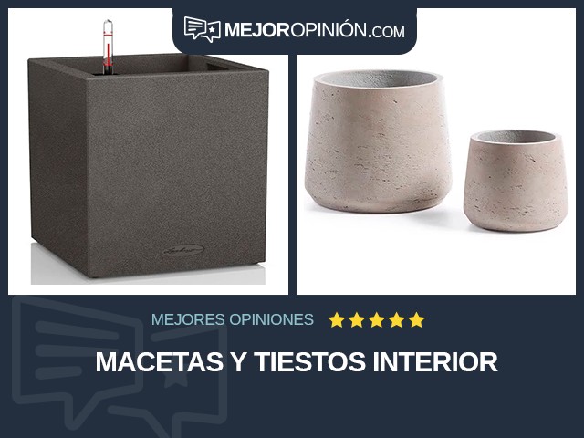 Macetas y tiestos Interior