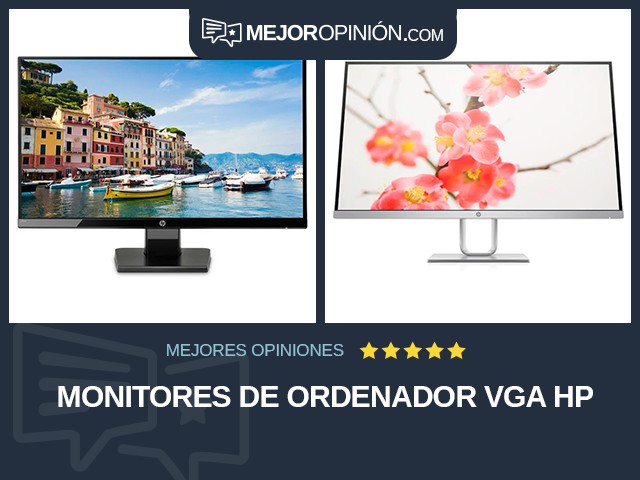 Monitores de ordenador VGA HP