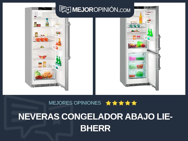 Neveras Congelador abajo Liebherr