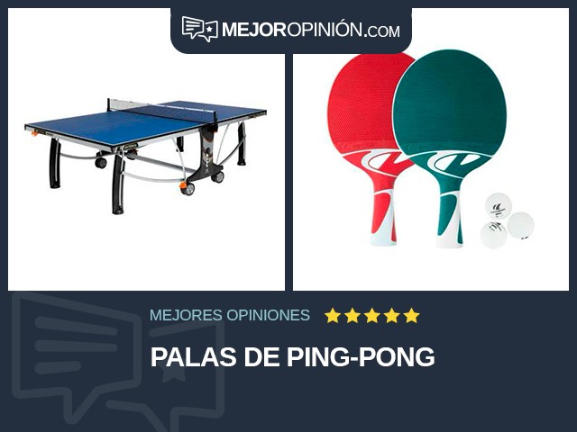 Palas de ping-pong