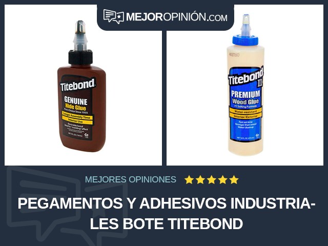 Pegamentos y adhesivos industriales Bote Titebond