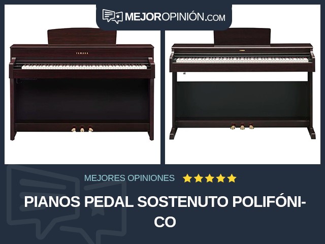 Pianos Pedal sostenuto Polifónico