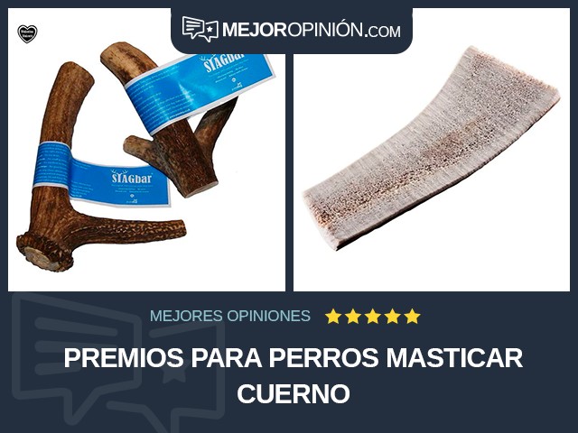 Premios para perros Masticar Cuerno