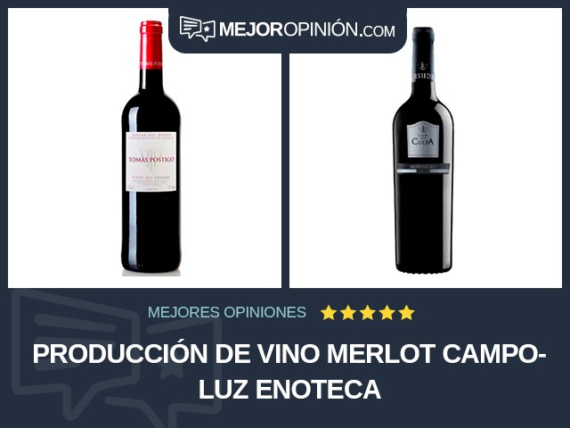Producción de vino Merlot Campoluz Enoteca