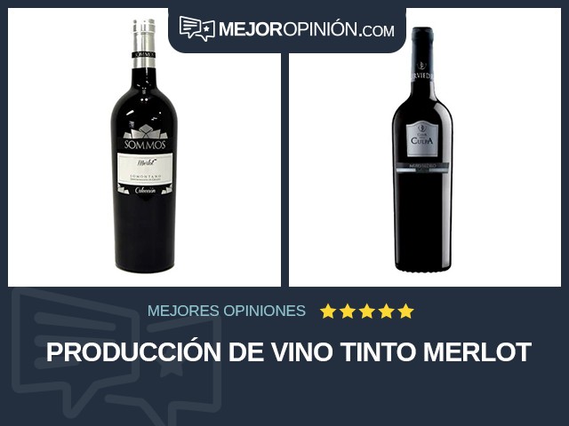 Producción de vino Tinto Merlot