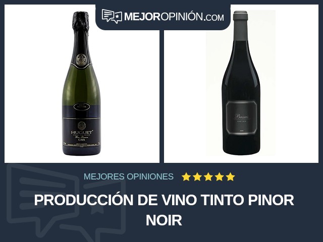 Producción de vino Tinto Pinor noir