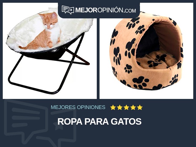 Ropa para gatos