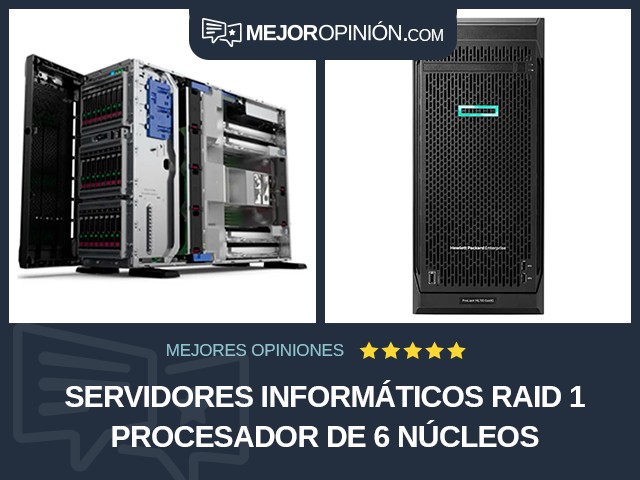 Servidores informáticos RAID 1 Procesador de 6 núcleos