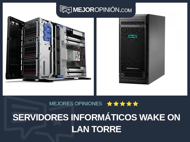 Servidores informáticos Wake On LAN Torre