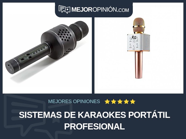 Sistemas de karaokes Portátil Profesional
