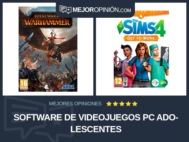 Software de videojuegos PC Adolescentes