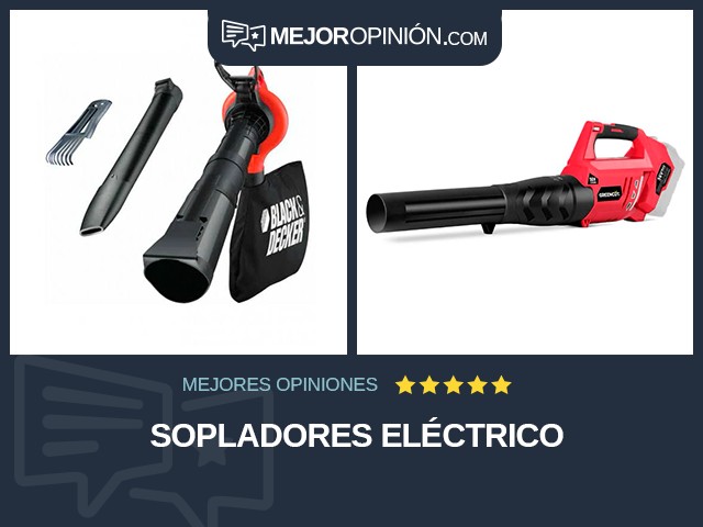 Sopladores Eléctrico