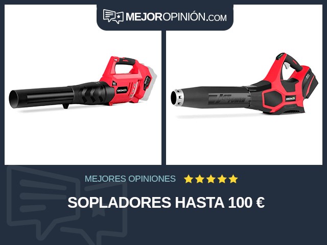 Sopladores Hasta 100 €