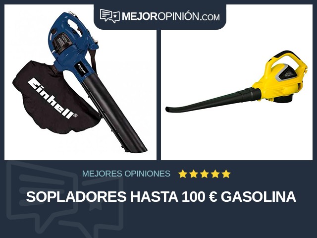 Sopladores Hasta 100 € Gasolina