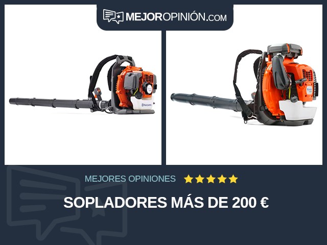 Sopladores Más de 200 €