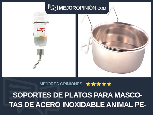 Soportes de platos para mascotas De acero inoxidable Animal pequeño