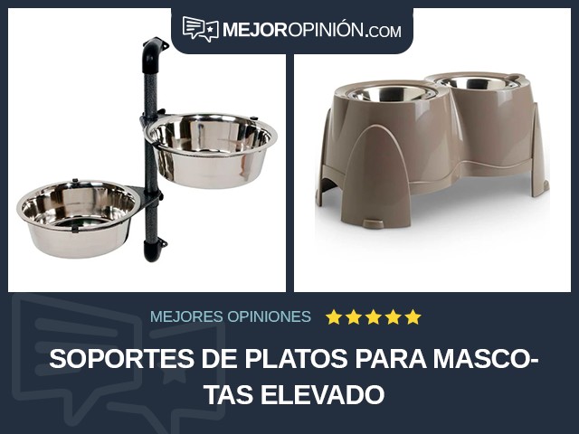 Soportes de platos para mascotas Elevado