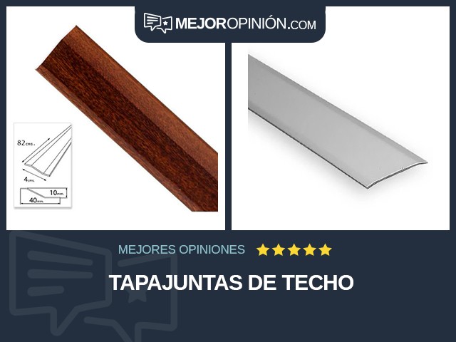 Tapajuntas de techo