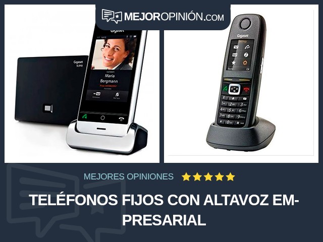 Teléfonos fijos Con altavoz Empresarial