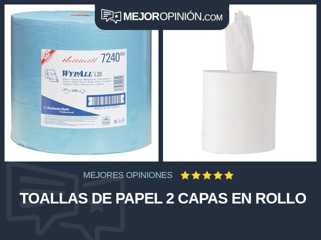 Toallas de papel 2 capas En rollo