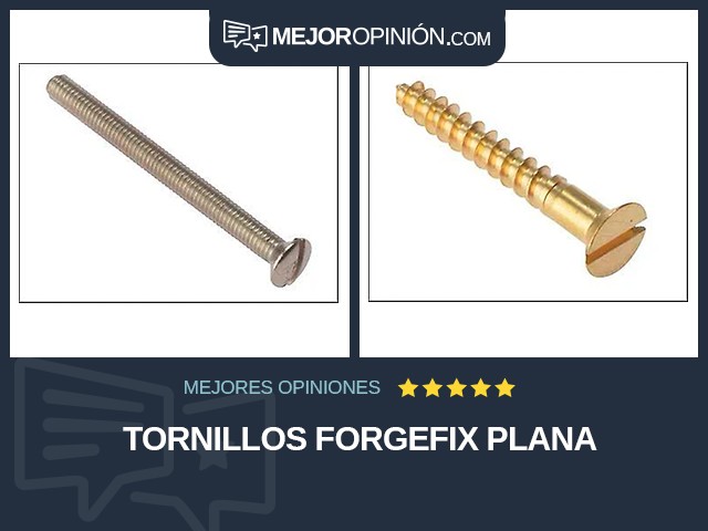 Tornillos ForgeFix Plana