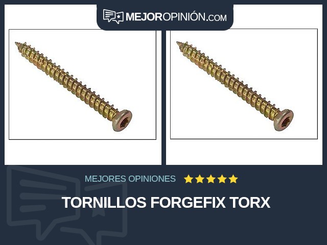Tornillos ForgeFix Torx