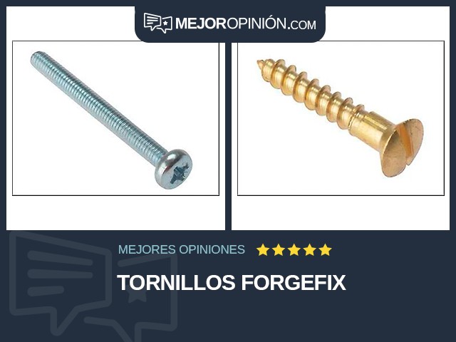 Tornillos ForgeFix