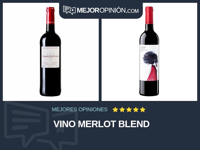 Vino Merlot Blend