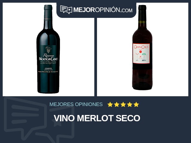 Vino Merlot Seco